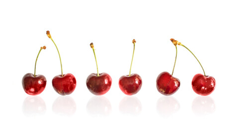 Close up of real cherries in a row isolated on panoramic white background