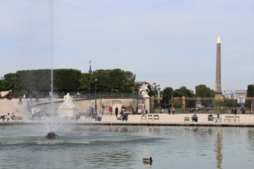 Le lac du jardin des Tuileries, avec l'obélisque de Louxor en arrière plan, ville de Paris, France