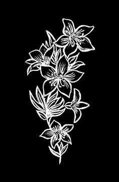 Painted white flowers on a black background