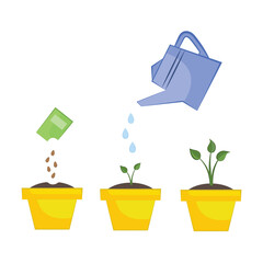 The process plant growing, garden and flower, organic gardening. timeline of gardening and planting. Plants in pots with water pot