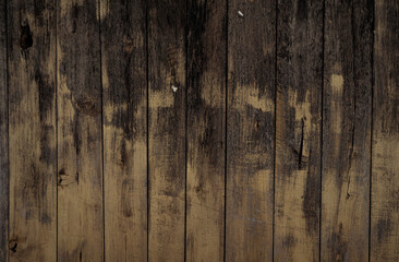 Close up of wood Pattern background