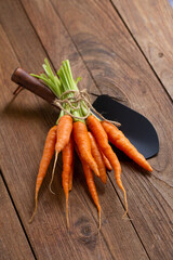 Fresh baby carrots on wooden cutting board and wooden background
