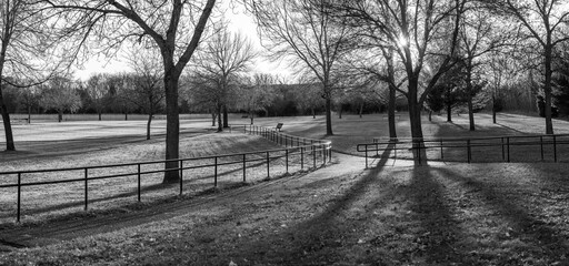 Black and White Park Trail at Sunset Panorama