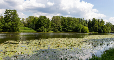Obraz na płótnie Canvas Panoramic view to Shibaevsky pond in Kuzminki park in Moscow