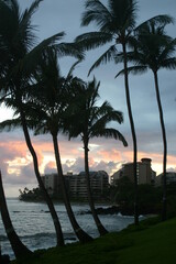 Tropical Sky with Palm Trees and Clouds at Dusk on Maui, Hawaii, with intersting Cloud Formations