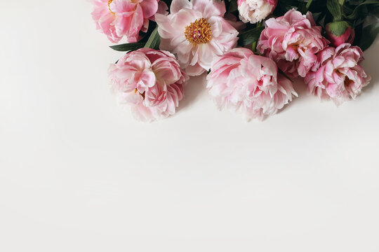 Spring decorative floral corner, banner made of pink peonies flowers isolated on white table background. Empty copy space. Flat lay, top view. Picture for blog. Summer wedding or birthday concept.