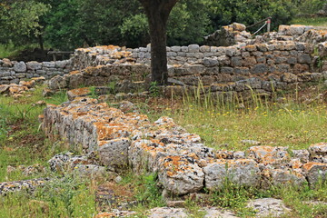 Rovine dell'antica città di cosa presso Ansedonia