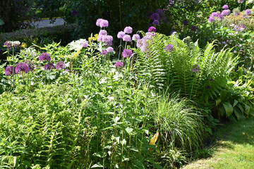 Jardin anglais au printemps