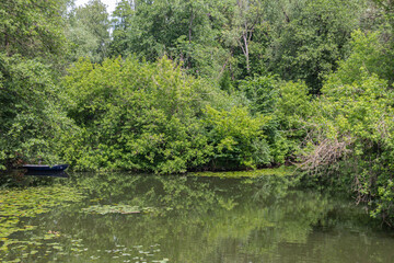 Beautiful landscape of a small pond in wood