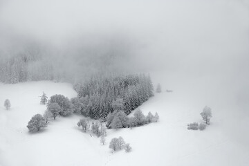 Winter im Schwarzwald - 436708933