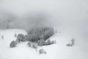 Foto auf Alu-Dibond Winter im Schwarzwald © sophie1404