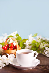 Cup of tea with white apple blossoms. Spring concept.