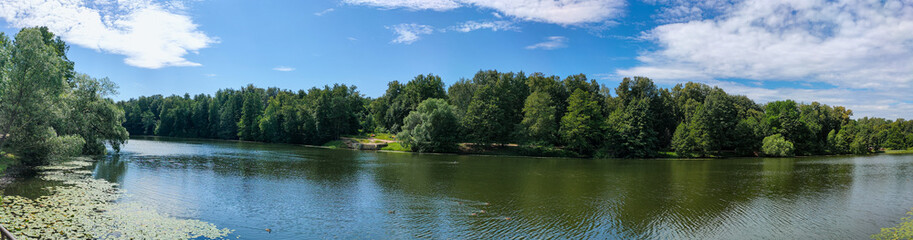 Fototapeta na wymiar Wide panorama of a beautiful wood and pond