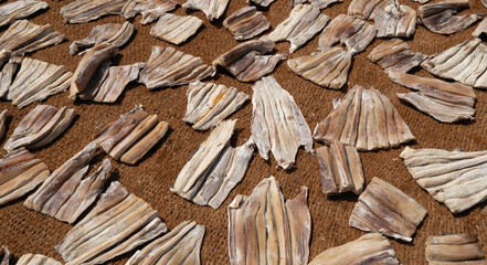 Close up of dry fish