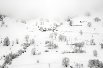 Winter im Schwarzwald - 436709516
