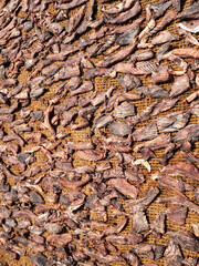 Close up of dried fish
