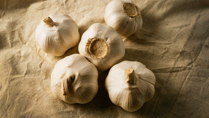 Fresh garlic on the table