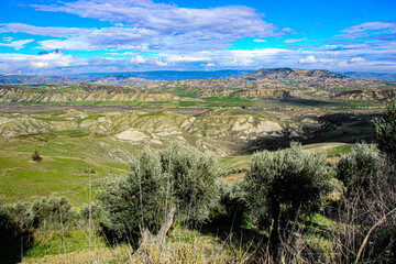 Fototapeta na wymiar valley of Basilicata with Calanchi Hills, olive trees and mountains