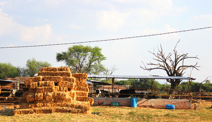 hay bales in a field © willy