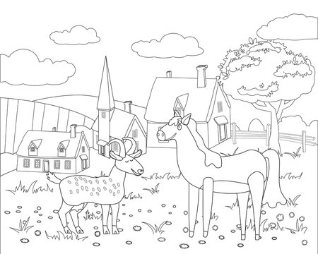 Farm animals coloring book educational illustration for children. Cute goat and horse, rural landscape colouring page. Vector black white outline cartoon characters