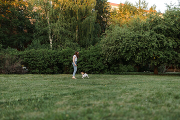 Portrait of a happy and crazy Jack Russell Terrier dog. Smooth coat of red color. a girl with brown hair in jeans and a T-shirt runs with a dog at sunset. Cute and beautiful dog has fun outdoors.