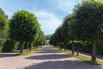 Green ally in front of the Italian house in the Kuskovo Estate