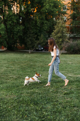 Portrait of a happy and crazy Jack Russell Terrier dog. Smooth coat of red color. a girl with brown hair in jeans and a T-shirt runs with a dog at sunset. Cute and beautiful dog has fun outdoors.