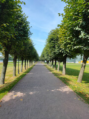Green alley with footpath in the Kuskovo Estate