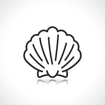scallop or sea shell icon