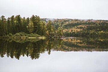 A Forest Reflecting On The Water