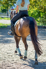 Obraz premium reiten