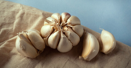 Fresh garlic on the table
