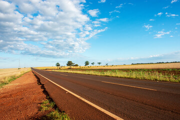 Paved road crossing farms in Brazil