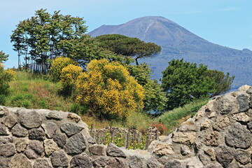 Gli scavi di Pompei antica