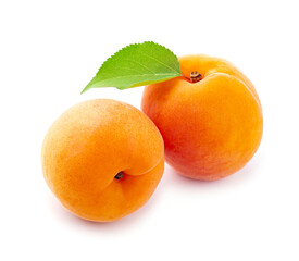 Apricots fruits on white backgrounds.