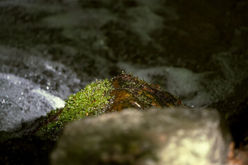 today's walk in a protected area