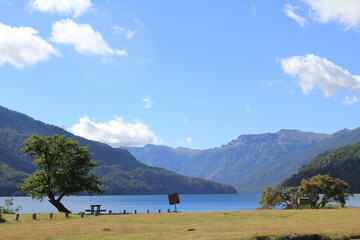 Bosque y lago en la Patagonia