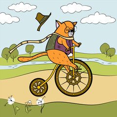 Summer bike ride the happy cat. Animalistic vector picture. Multicolor. Can be used for wallpapers, card, textile, surface textures