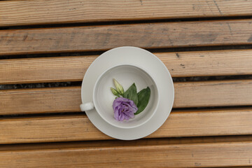 A white cup and saucer stand on a wooden background. There is a purple flower in the cup. Flower tea. Drink tea outside. Romantic mood.