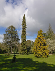 Fototapeta na wymiar Colorful spring park in Dublin botanica garden, Ireland