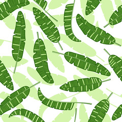 Exotic banana leaves. Seamless pattern.
