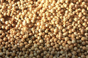 close up of a lot of seeds