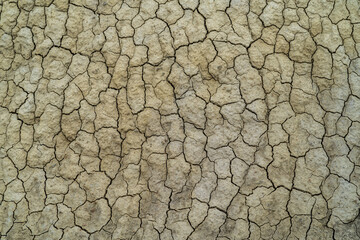 Close-up of extremely dry and cracked land in an arid area caused by drought and global warming affecting crops and water resources.