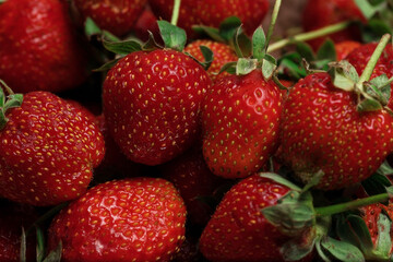 Ripe red strawberries close up