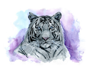 Black water tiger on a watercolor background