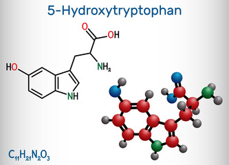5-Hydroxytryptophan, 5-HTP, hydroxytryptophan, oxitriptan molecule. It is naturally occurring amino acid, tryptophan derivative. Structural chemical formula and molecule model