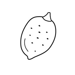 Simple lemon in black color. Vector illustration in doodle style. Perfect as a decoration, logo or label for a cafe or grocery store