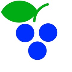 picture of a berry