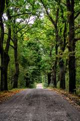 Obraz premium Polskie drogi