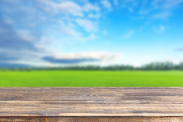 wood table top on blur pine branches background